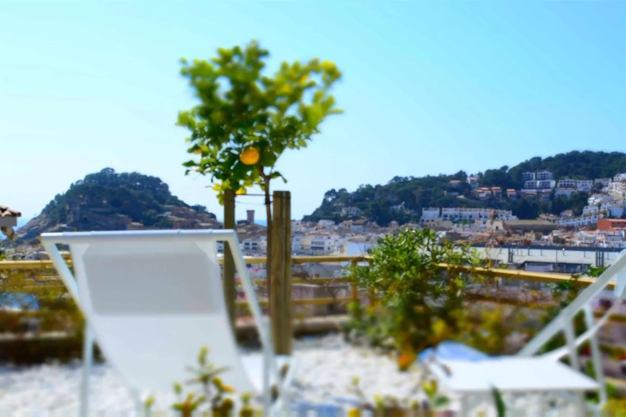 Appartamento Apartamento Terrassa 1 - Gran Terraza Y Vistas Tossa de Mar Spagna